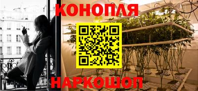 spice Нальчик