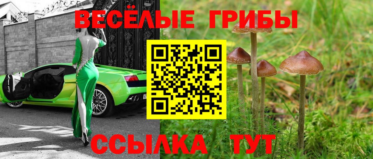 Псилоцибиновые грибы прущие грибы Сланцы