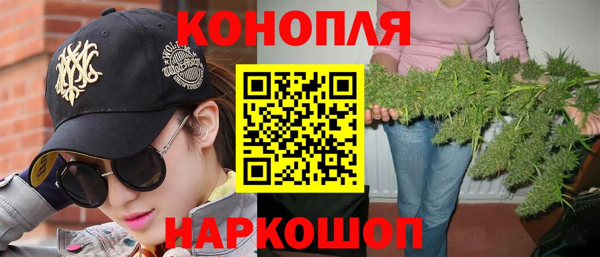 Бошки Шишки планчик  Каннабис семена  Вход с VPN  Бошки марихуана конопля  Сланцы 
